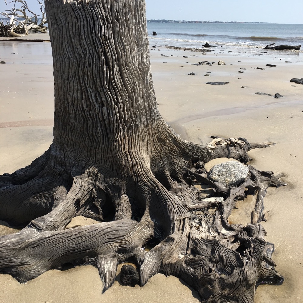 Meet your Posher, Austin